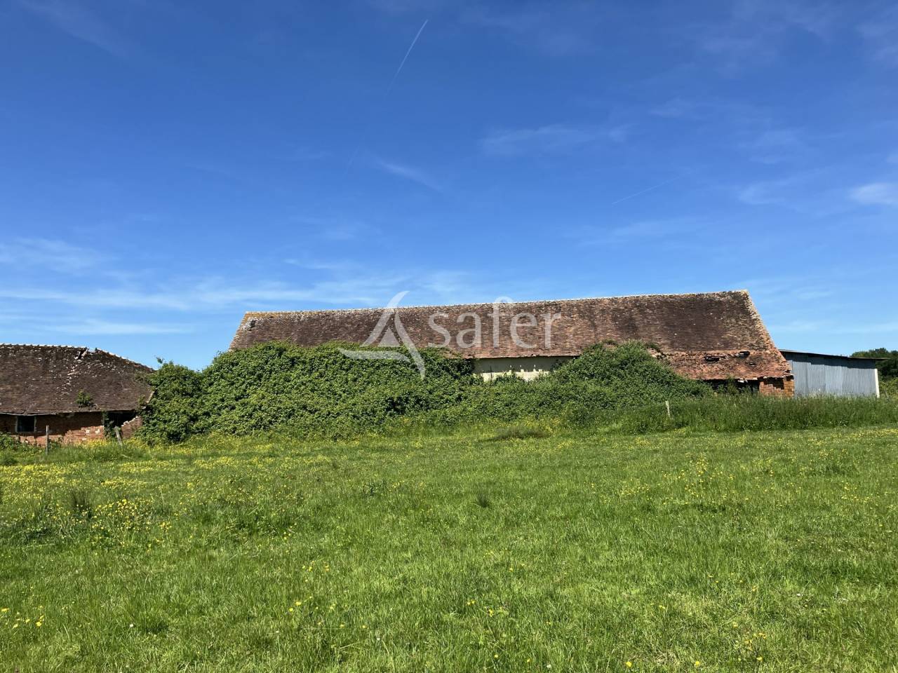 Explotaci&oacute;n agr&iacute;cola En venta Loiret