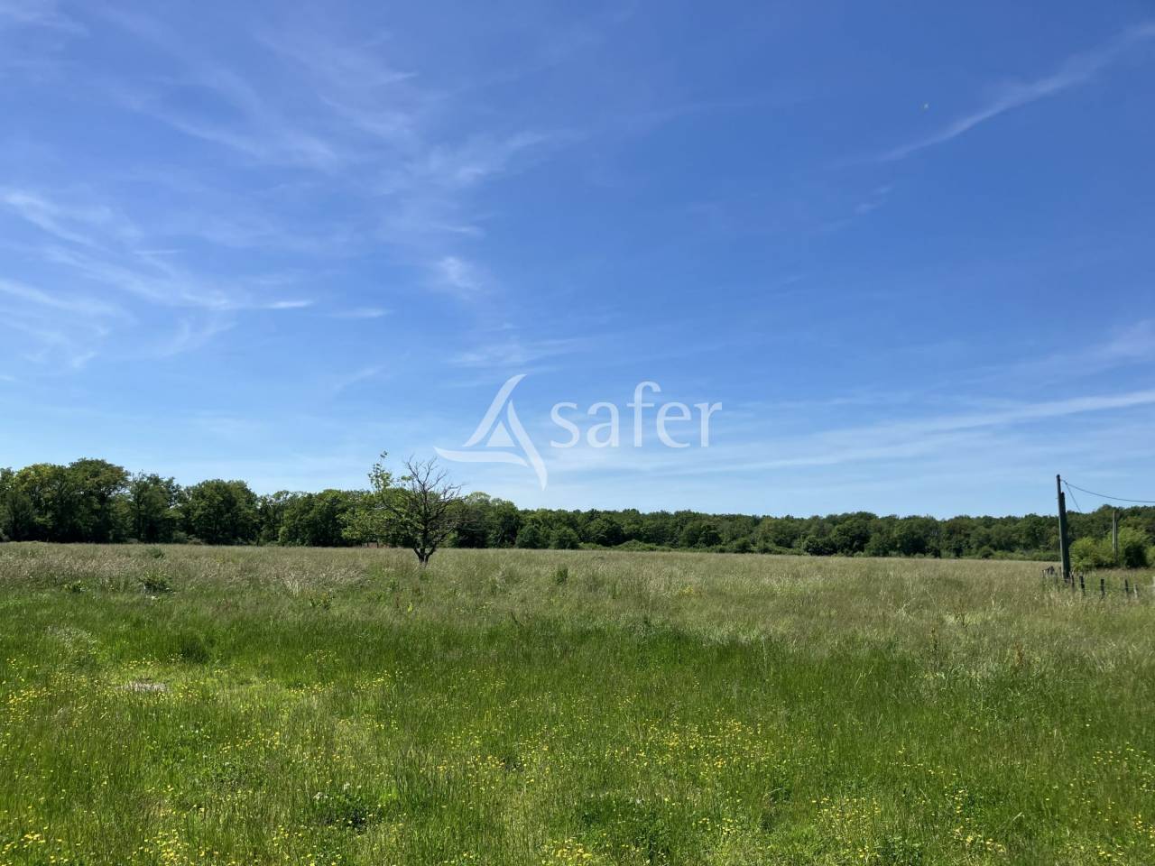 Explotaci&oacute;n agr&iacute;cola En venta Loiret