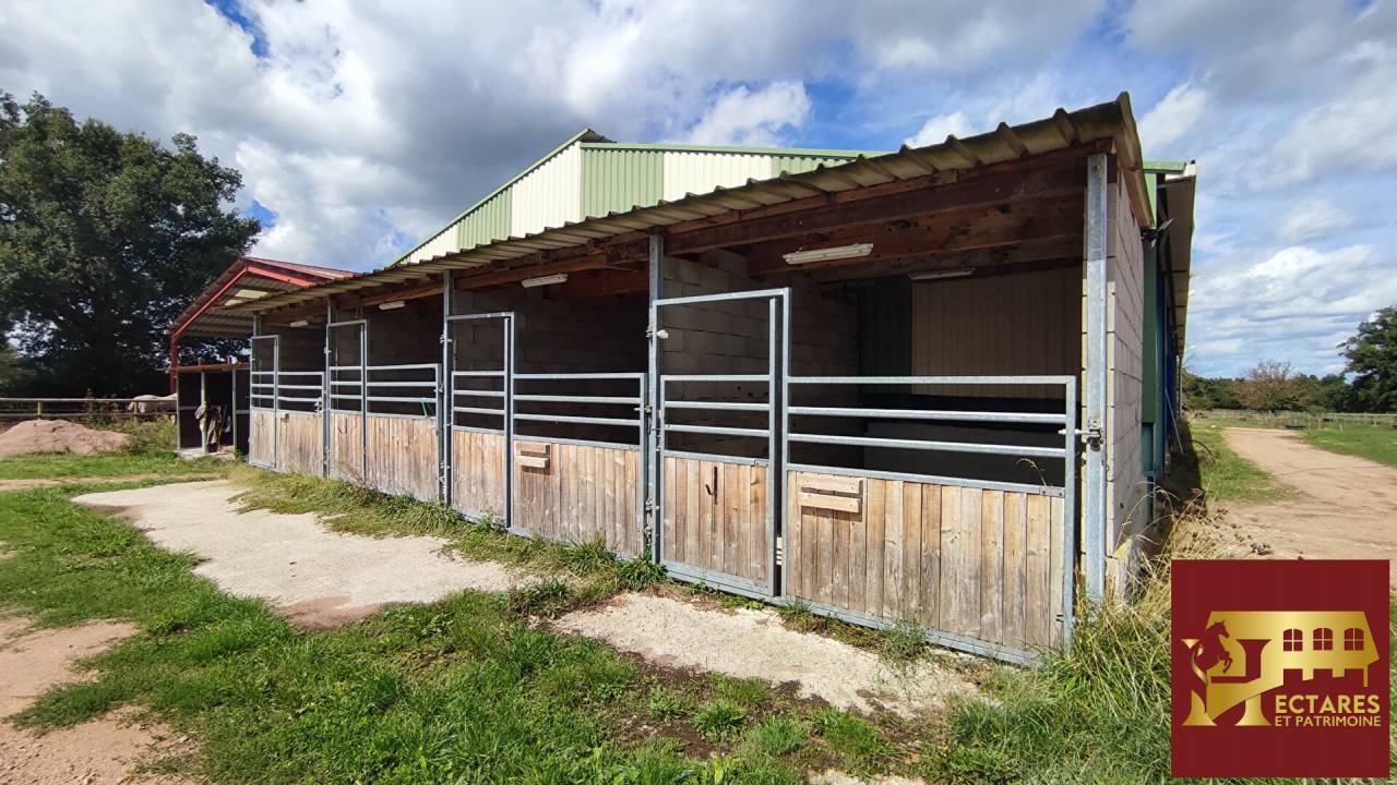 Albergue ecuestre En venta Saona y Loira