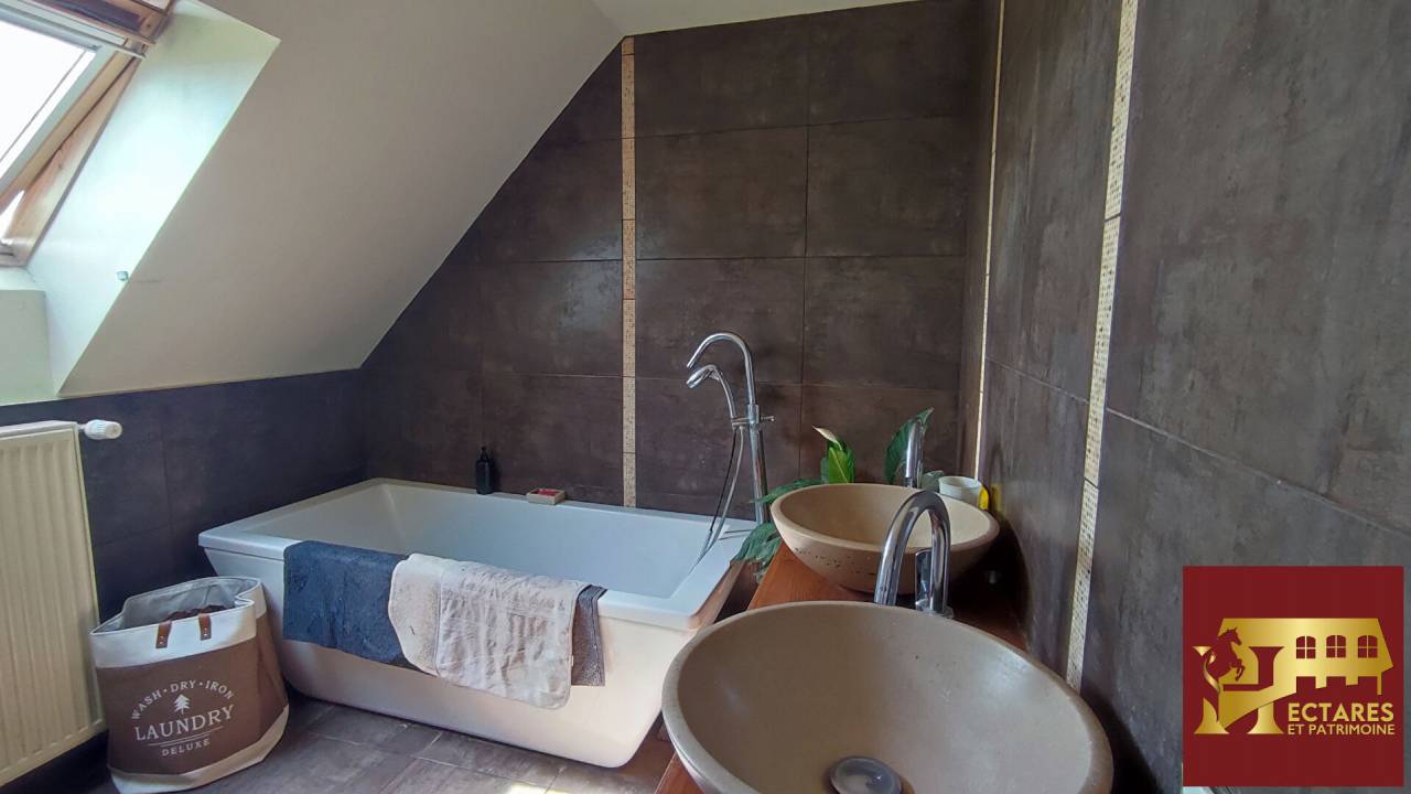 Albergue ecuestre En venta Saona y Loira