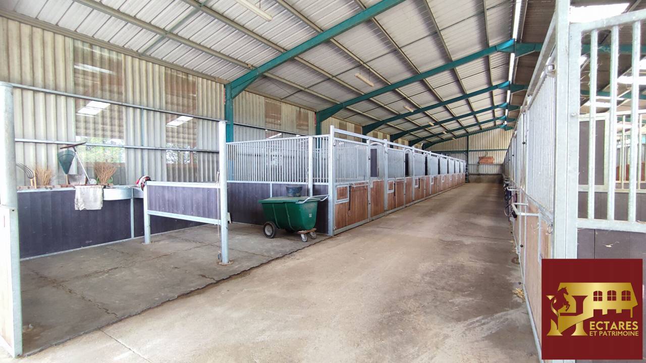 Albergue ecuestre En venta Saona y Loira