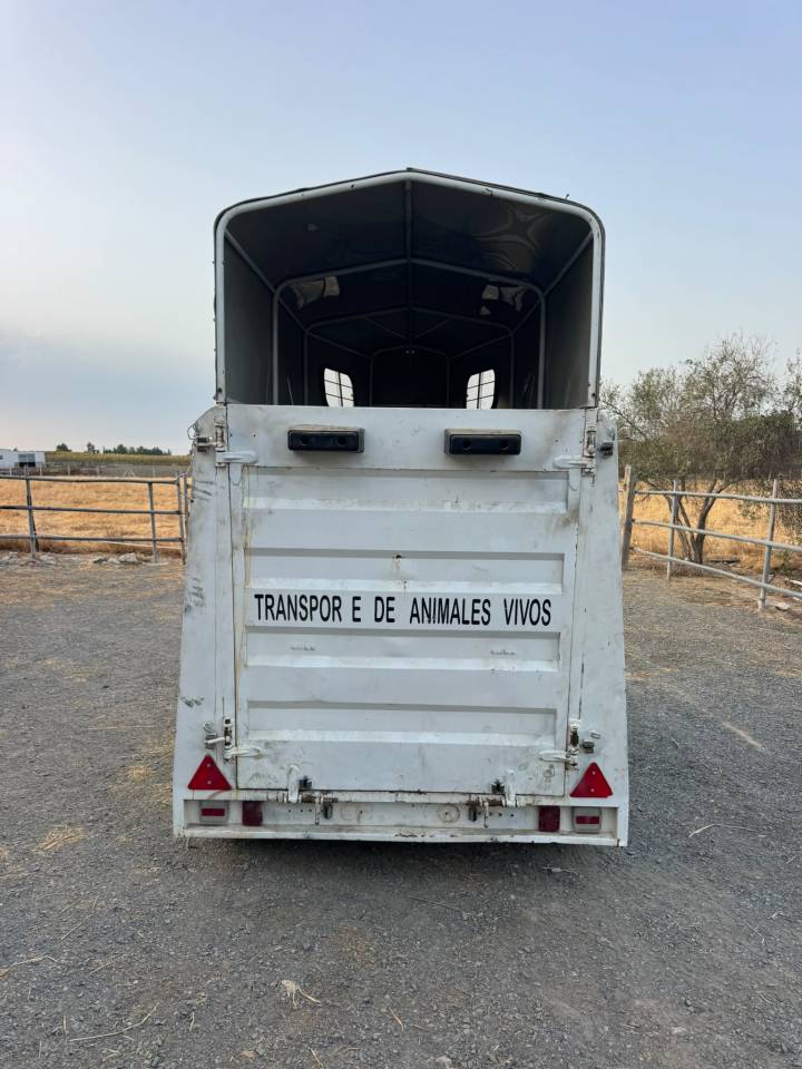 remolque para caballos