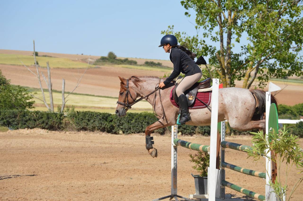 Poni C salto de obst&aacute;culos y completo