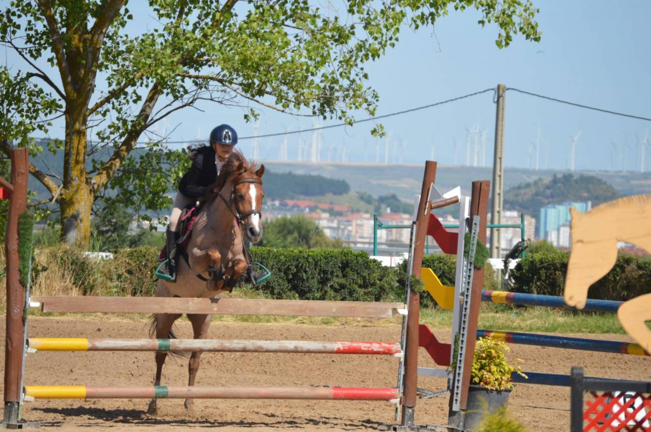 Poni C salto de obst&aacute;culos y completo