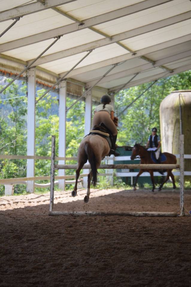 Poni C salto de obst&aacute;culos y completo
