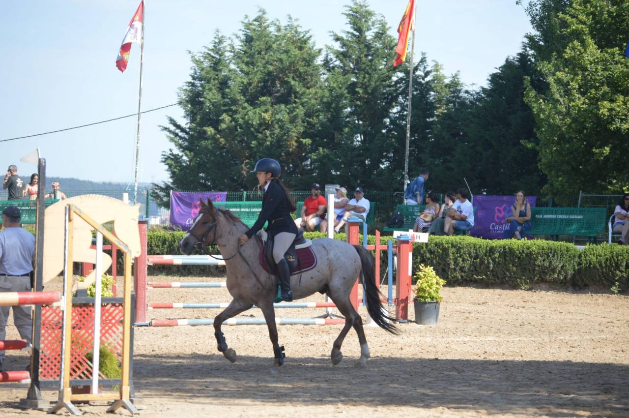 Poni C salto de obst&aacute;culos y completo