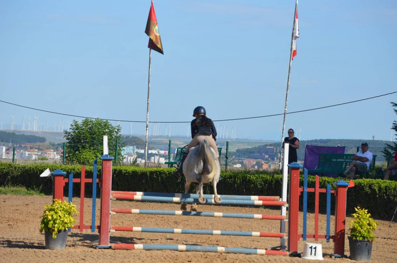Poni C salto de obst&aacute;culos y completo