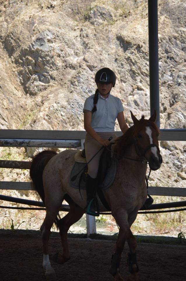Poni C salto de obst&aacute;culos y completo