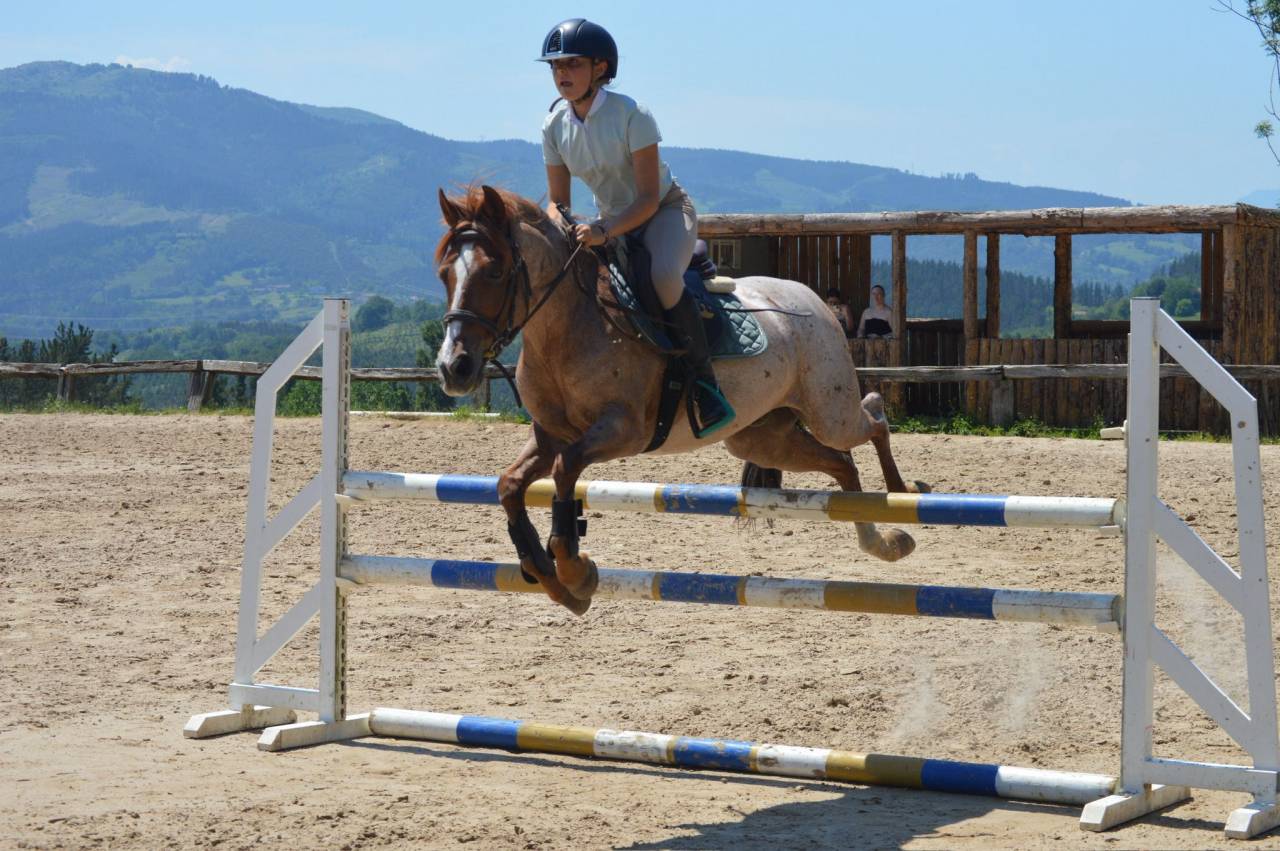 Poni C salto de obst&aacute;culos y completo