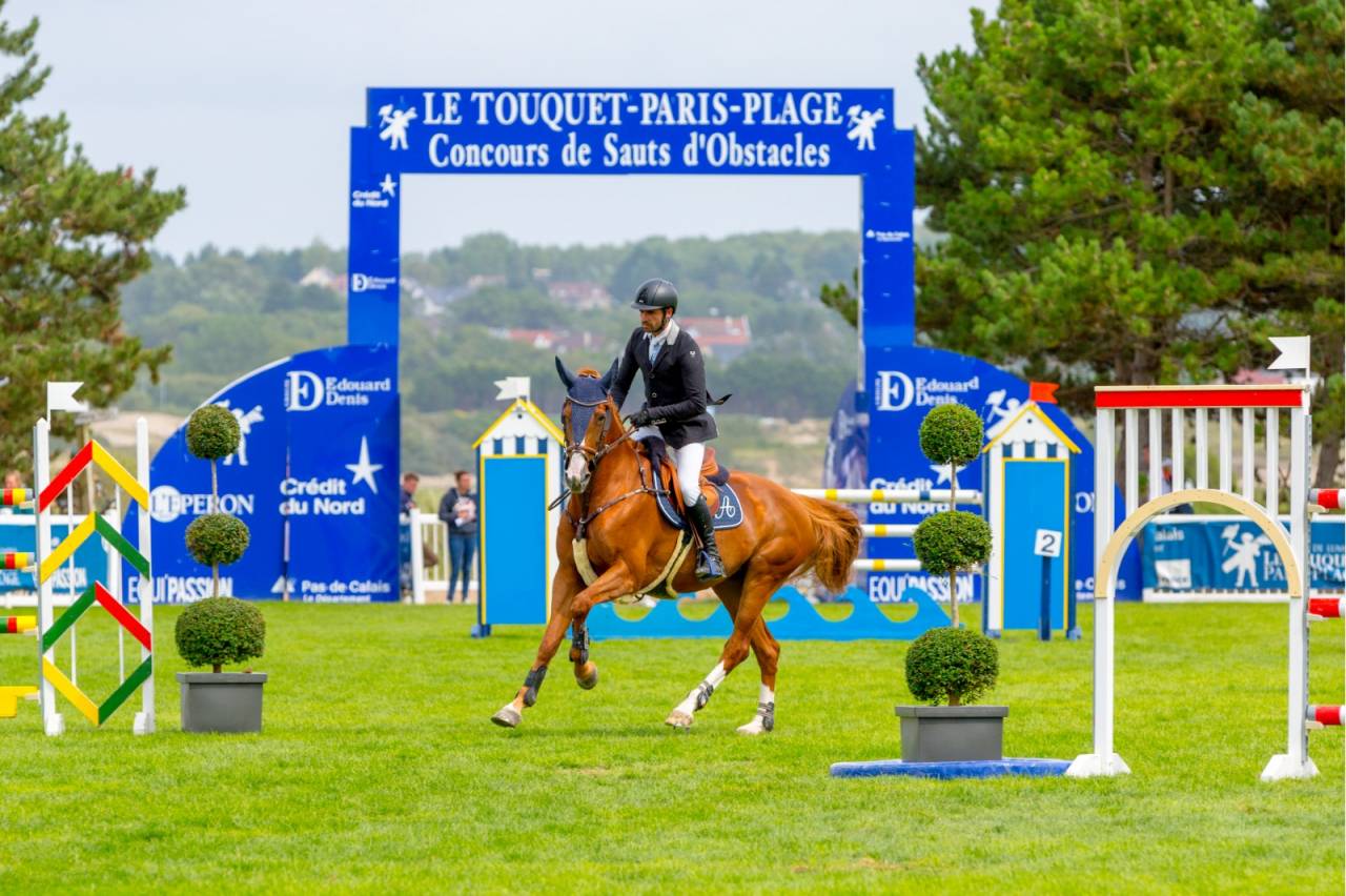 Potro Silla Franc&eacute;s En venta 2026 Alaz&aacute;n por Jilbert vant Ruytershof