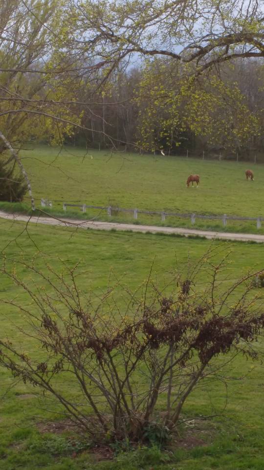 Propiedad ecuestre En alquiler Lot y Garona