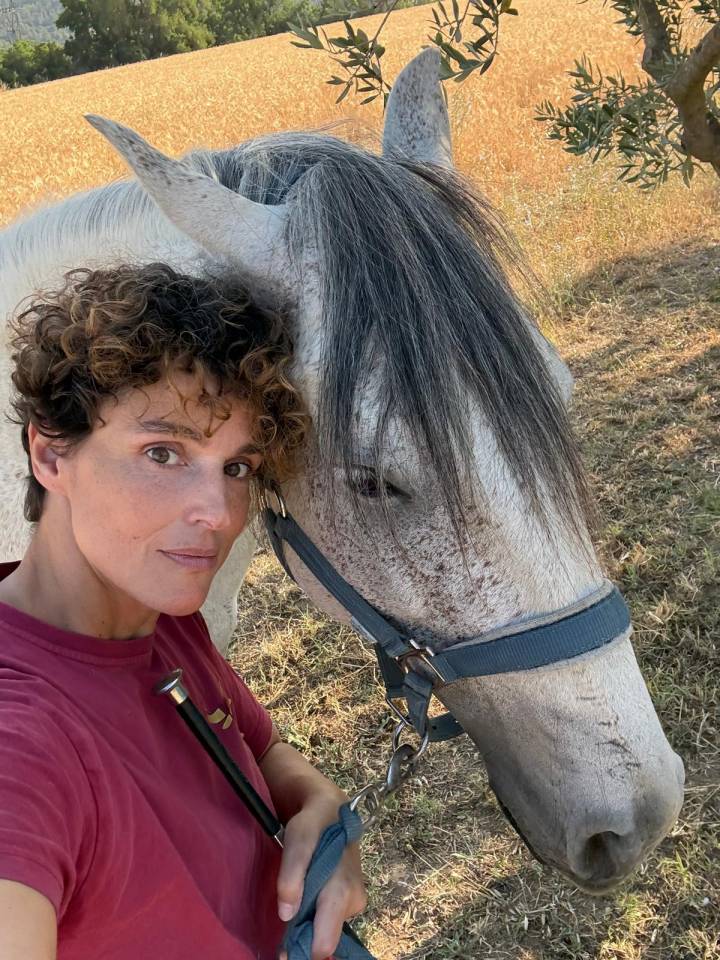 Caballo castrado Lusitano En venta 2019 Tordo