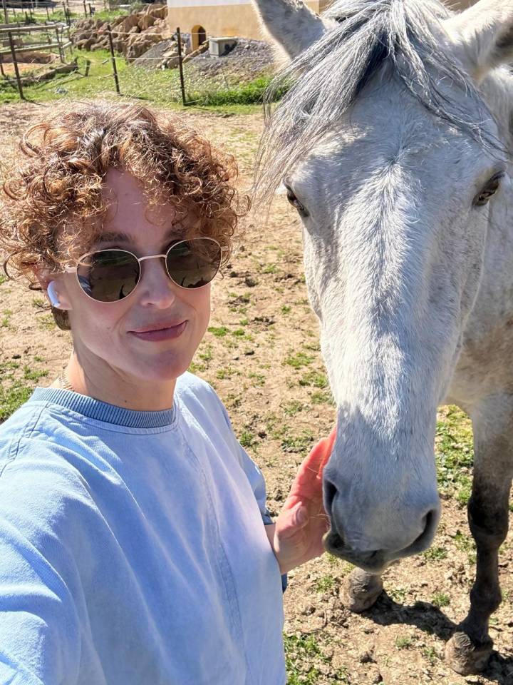 Caballo castrado Lusitano En venta 2019 Tordo