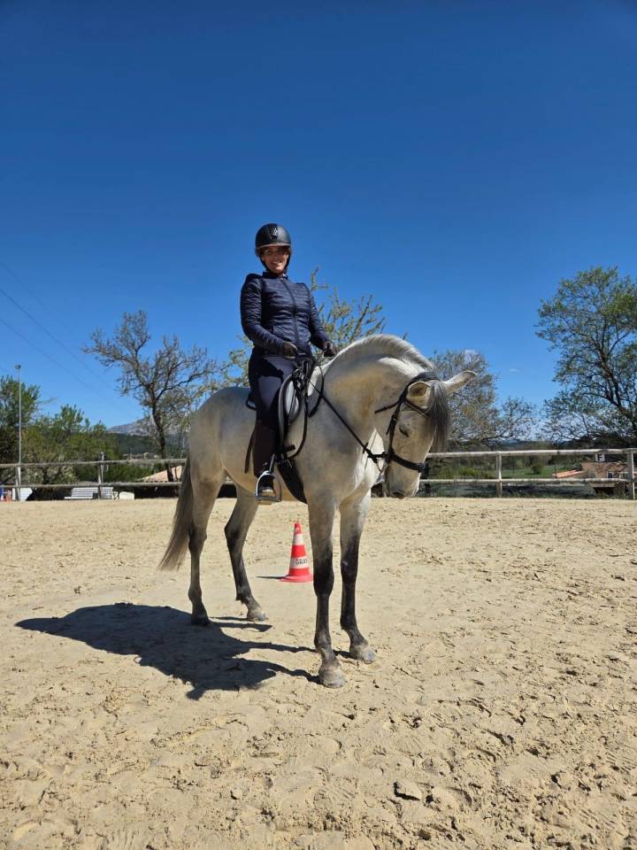 Caballo castrado Lusitano En venta 2019 Tordo