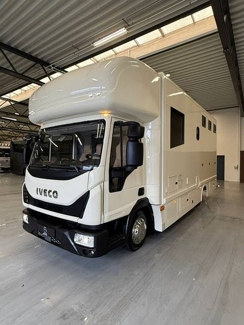 Cami&oacute;n para caballos Iveco living 2017 De segunda mano