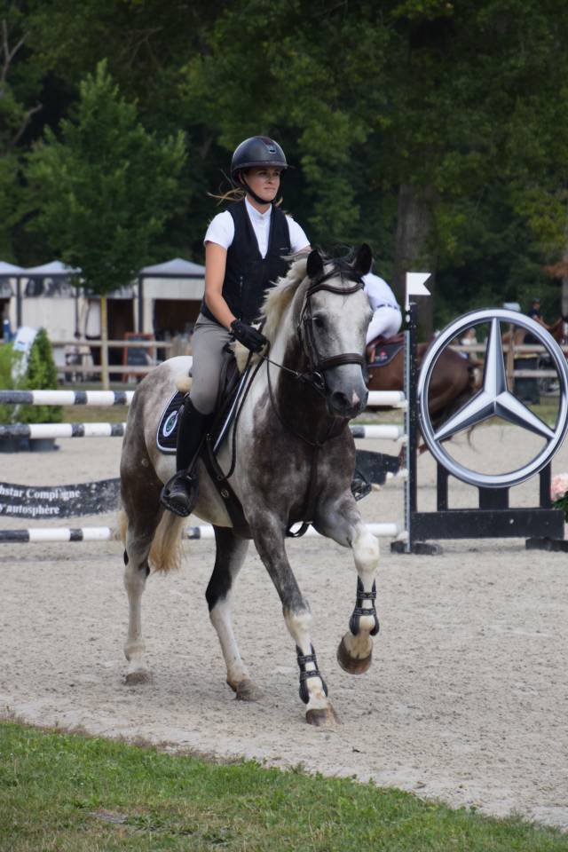 Caballo castrado Silla Franc&eacute;s En venta 2018 P&iacute;o