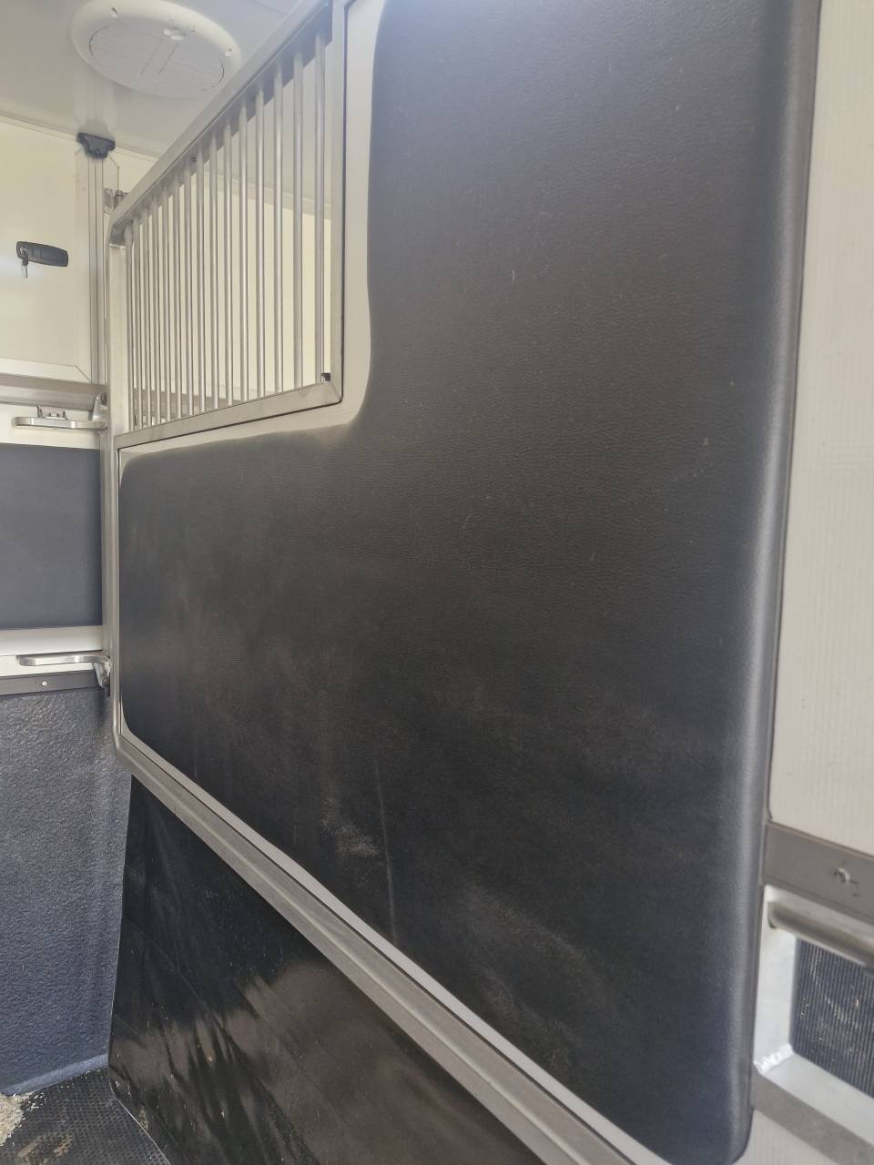 Furgoneta para caballos Ford FORD 2023 De segunda mano