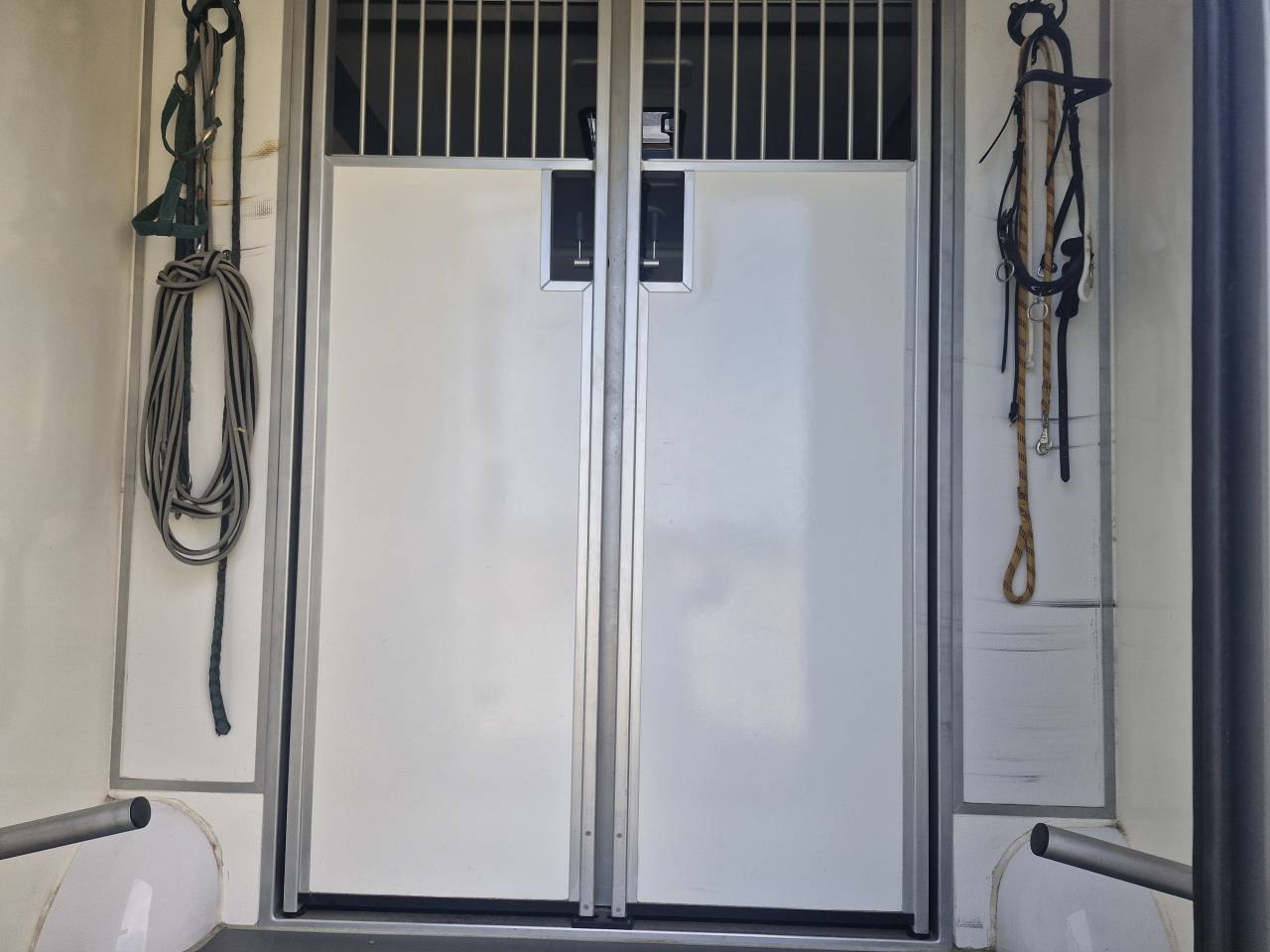 Furgoneta para caballos Ford FORD 2023 De segunda mano