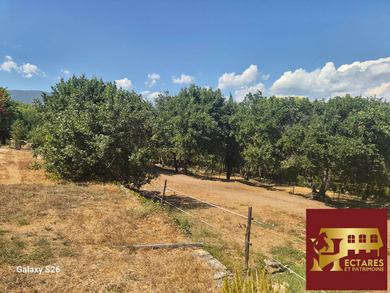 Propiedad ecuestre En venta Var