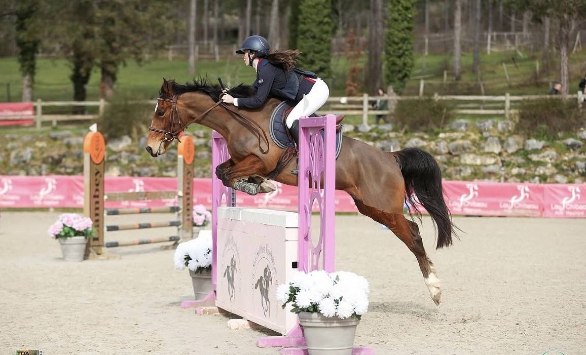 Yegua PFS Poni Fran&ccedil;&eacute;s de Silla En venta 2015 Bayo por INTERMEDE A BORD