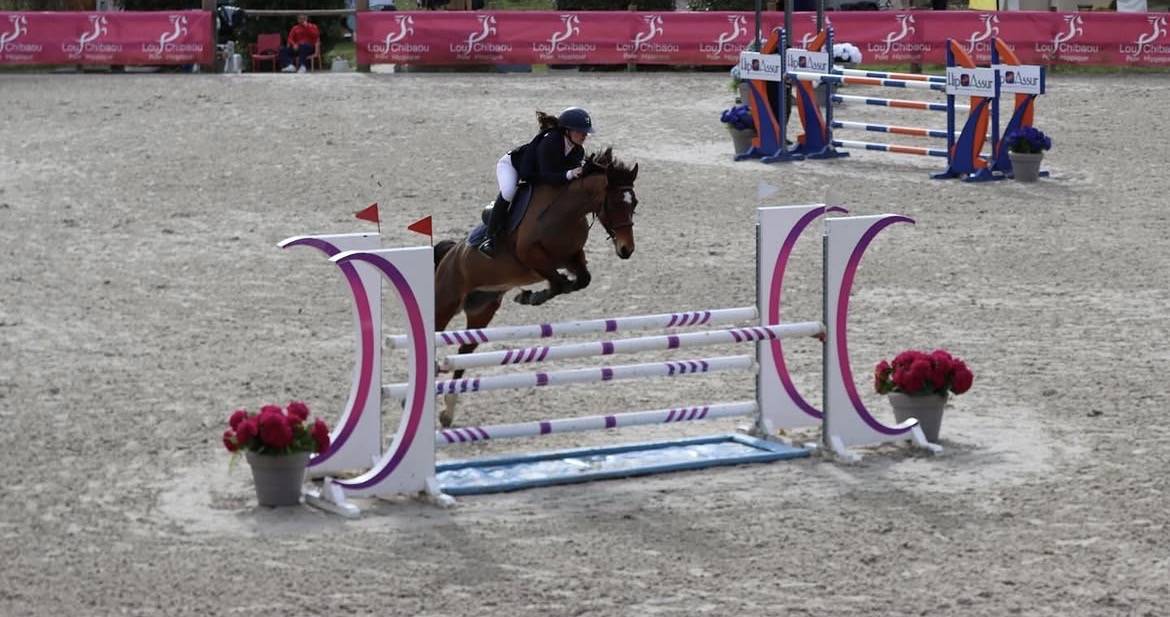 Yegua PFS Poni Fran&ccedil;&eacute;s de Silla En venta 2015 Bayo por INTERMEDE A BORD