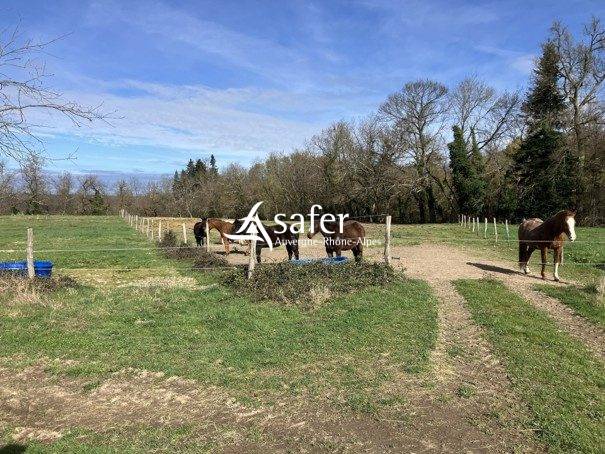 Propiedad ecuestre En venta Puy-de-D&ocirc;me