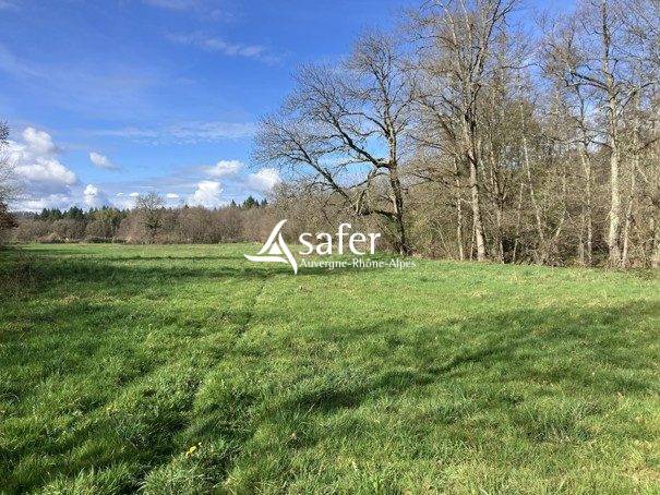 Propiedad ecuestre En venta Puy-de-D&ocirc;me