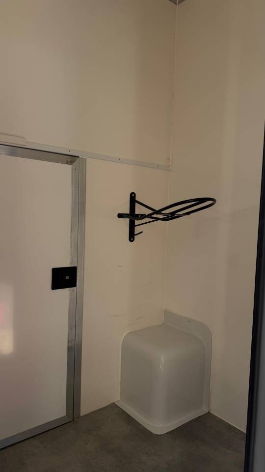 Furgoneta para caballos Renault Master  2025 De segunda mano