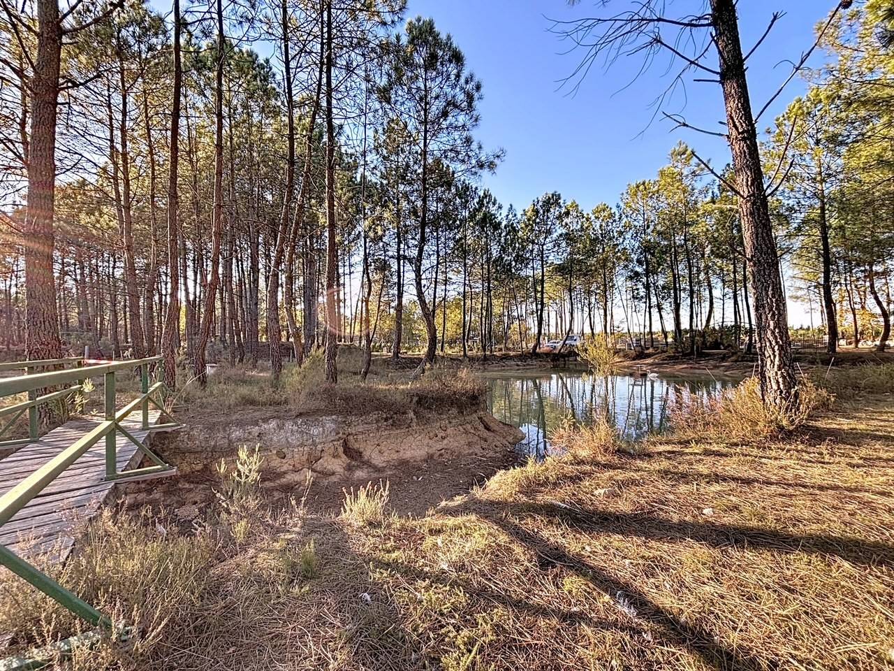 Propiedad rural En venta Gironda