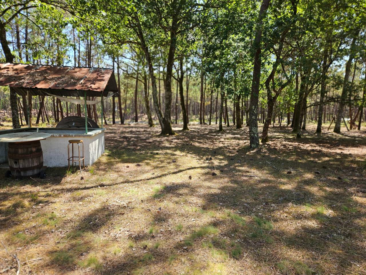 Propiedad rural En venta Gironda