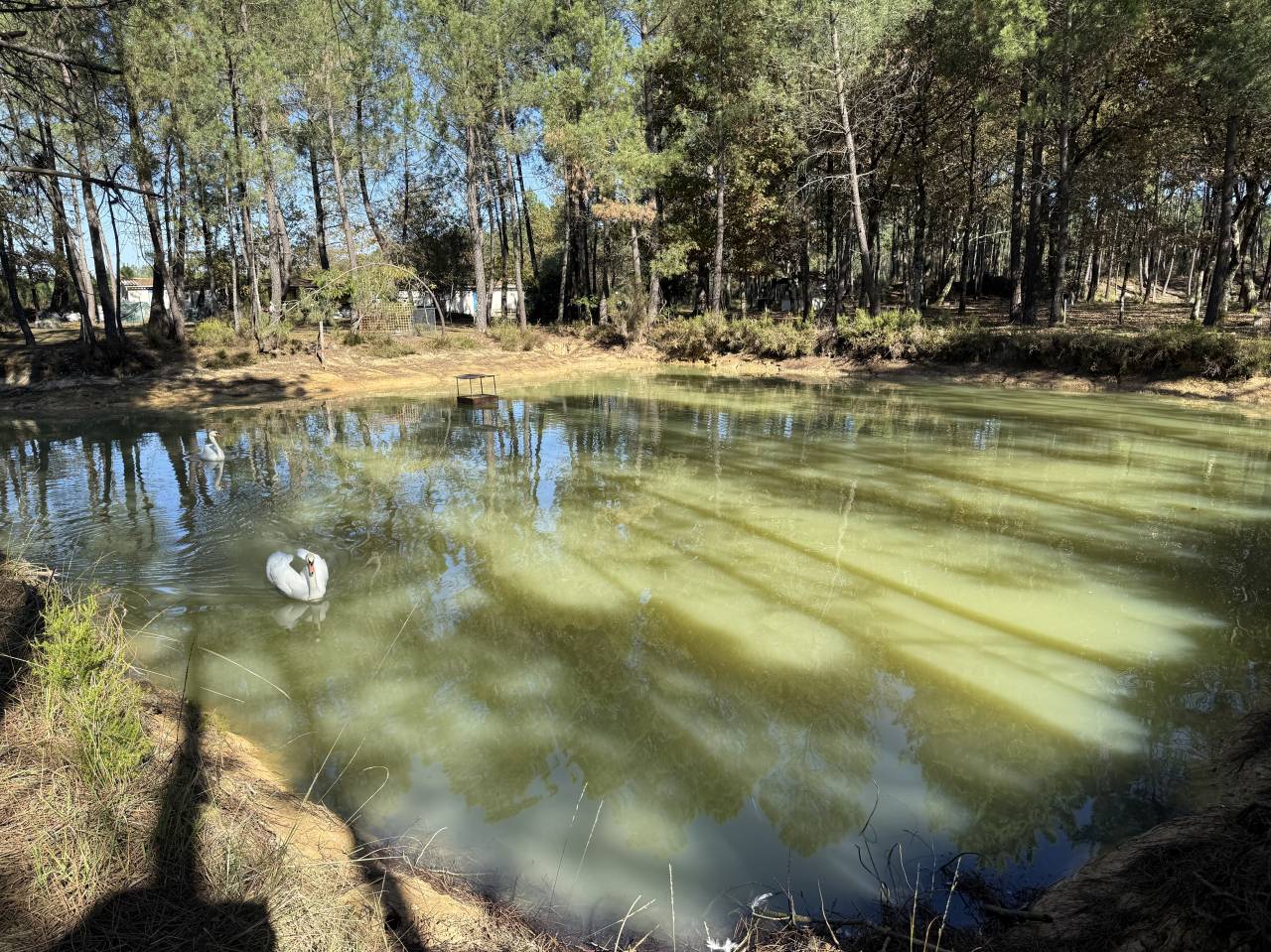 Propiedad rural En venta Gironda