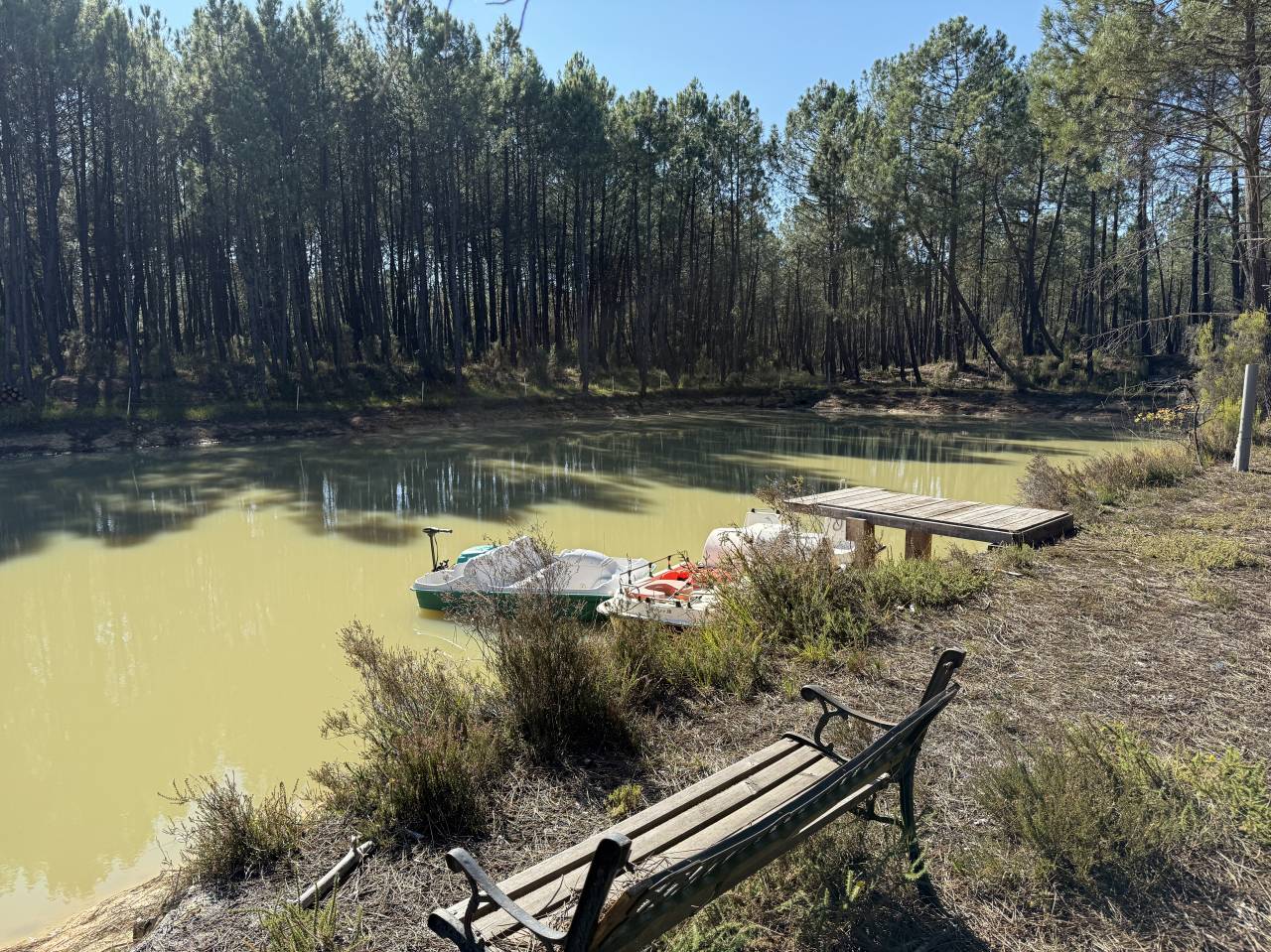 Propiedad rural En venta Gironda