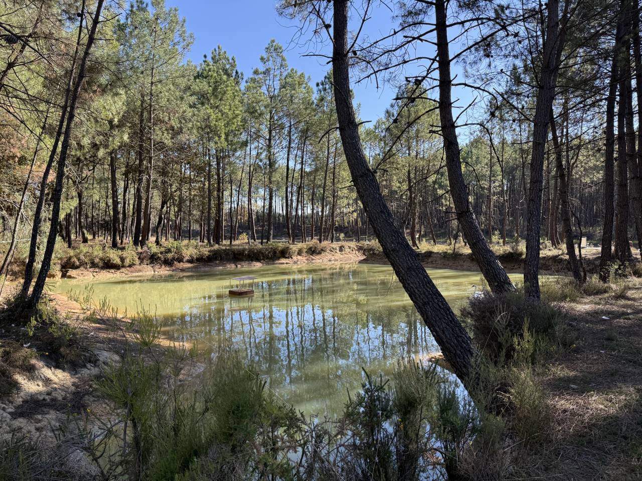 Propiedad rural En venta Gironda