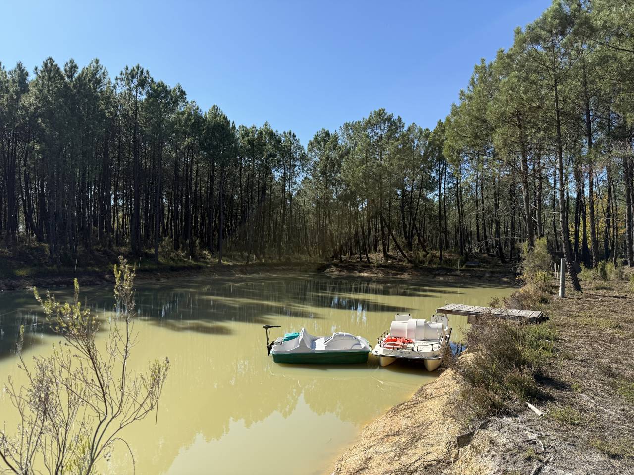 Propiedad rural En venta Gironda