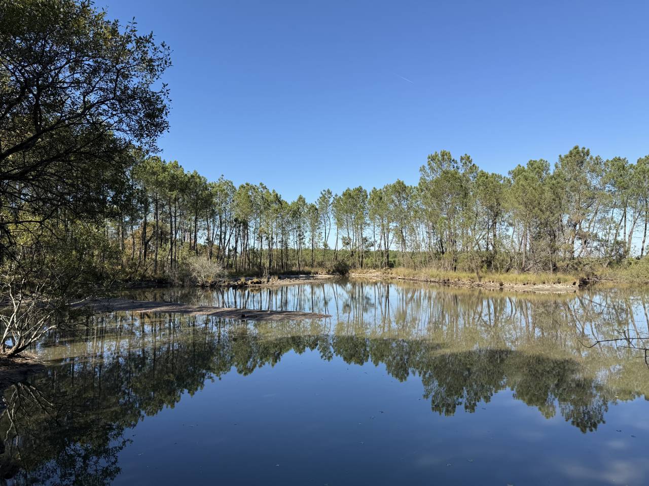 Propiedad rural En venta Gironda