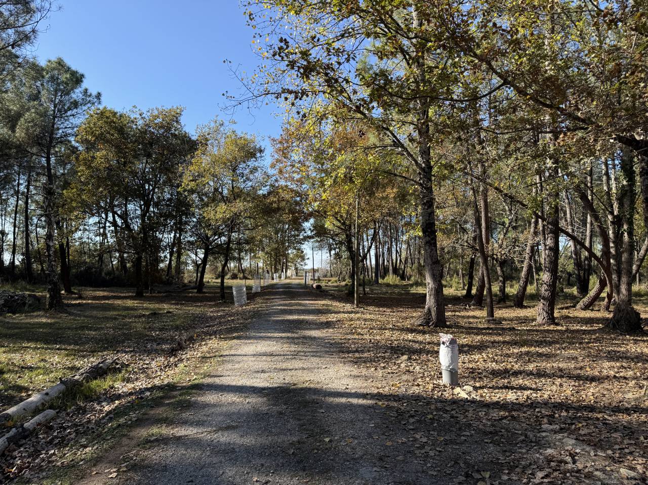 Propiedad rural En venta Gironda