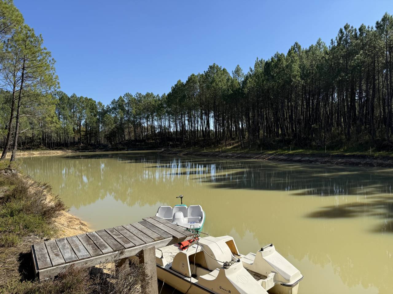 Propiedad rural En venta Gironda