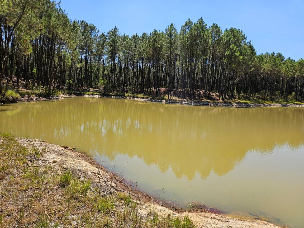 Propiedad rural En venta Gironda