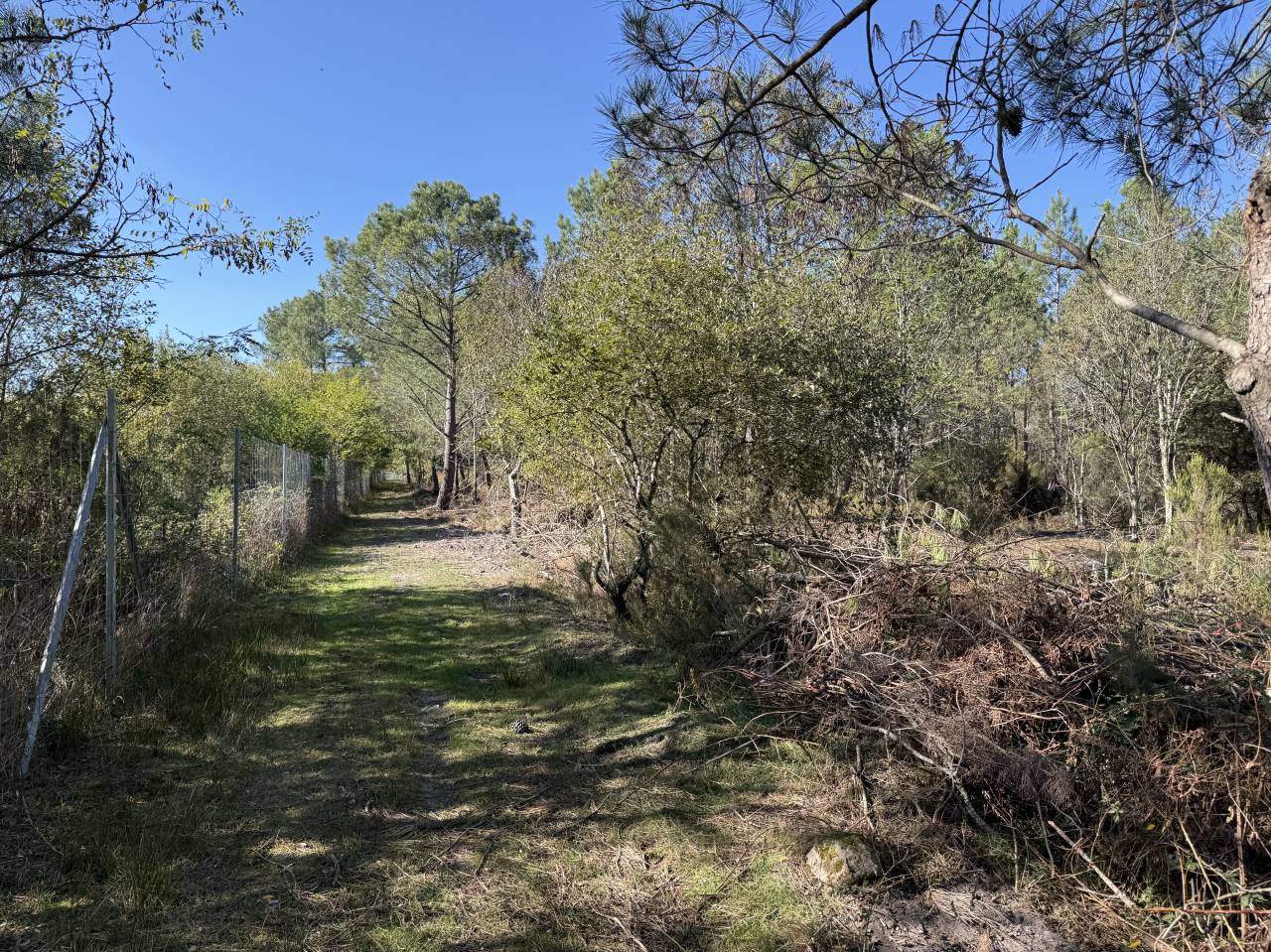 Propiedad rural En venta Gironda