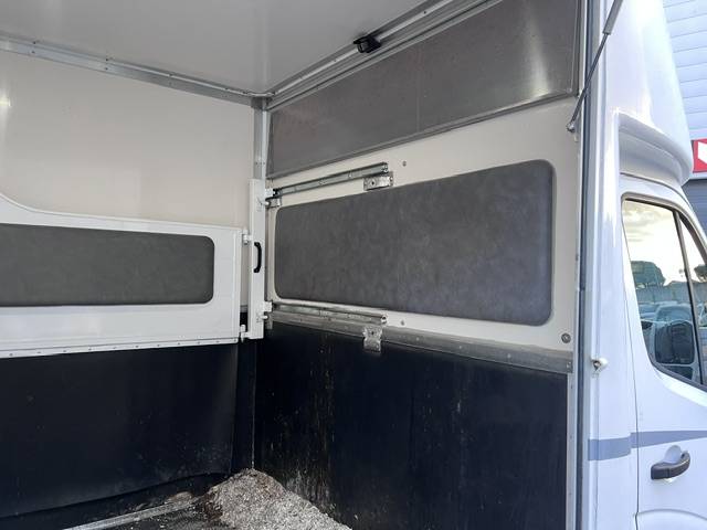 Furgoneta para caballos Opel OPEL MOVANO RUCEL 2011 De segunda mano