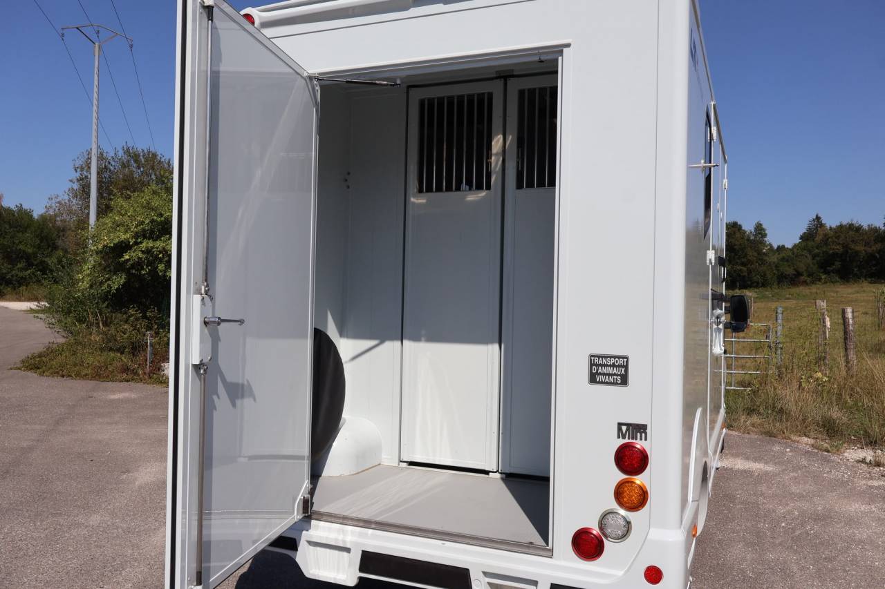 Furgoneta para caballos MTM MTM 2016 De segunda mano