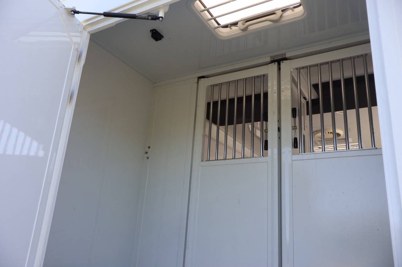 Furgoneta para caballos MTM MTM 2016 De segunda mano