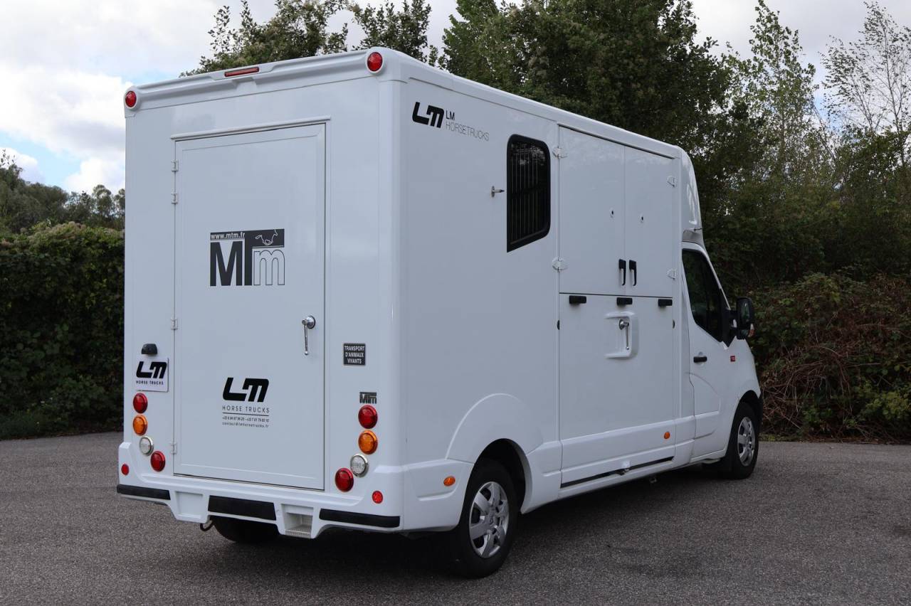 Furgoneta para caballos MTM MTM 2016 De segunda mano