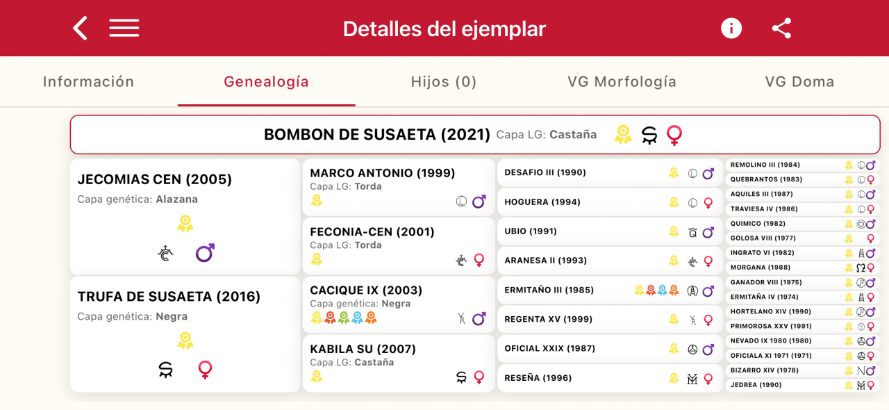 Yegua PRE Pura Raza Espa&ntilde;ola En venta 2021 Bayo por JECOMIAS CEN
