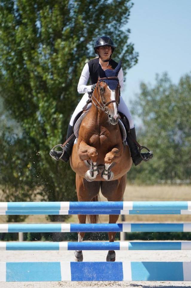 Yegua Silla Franc&eacute;s En venta 2012 Alaz&aacute;n por Vargas de Ste Hermelle
