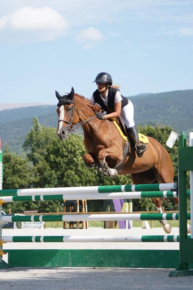 Yegua Silla Franc&eacute;s En venta 2012 Alaz&aacute;n por Vargas de Ste Hermelle