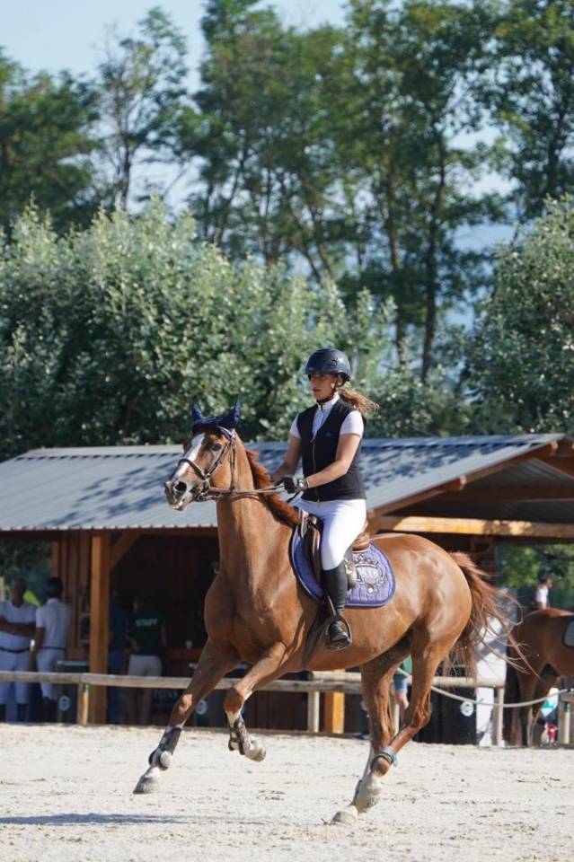 Yegua Silla Franc&eacute;s En venta 2012 Alaz&aacute;n por Vargas de Ste Hermelle