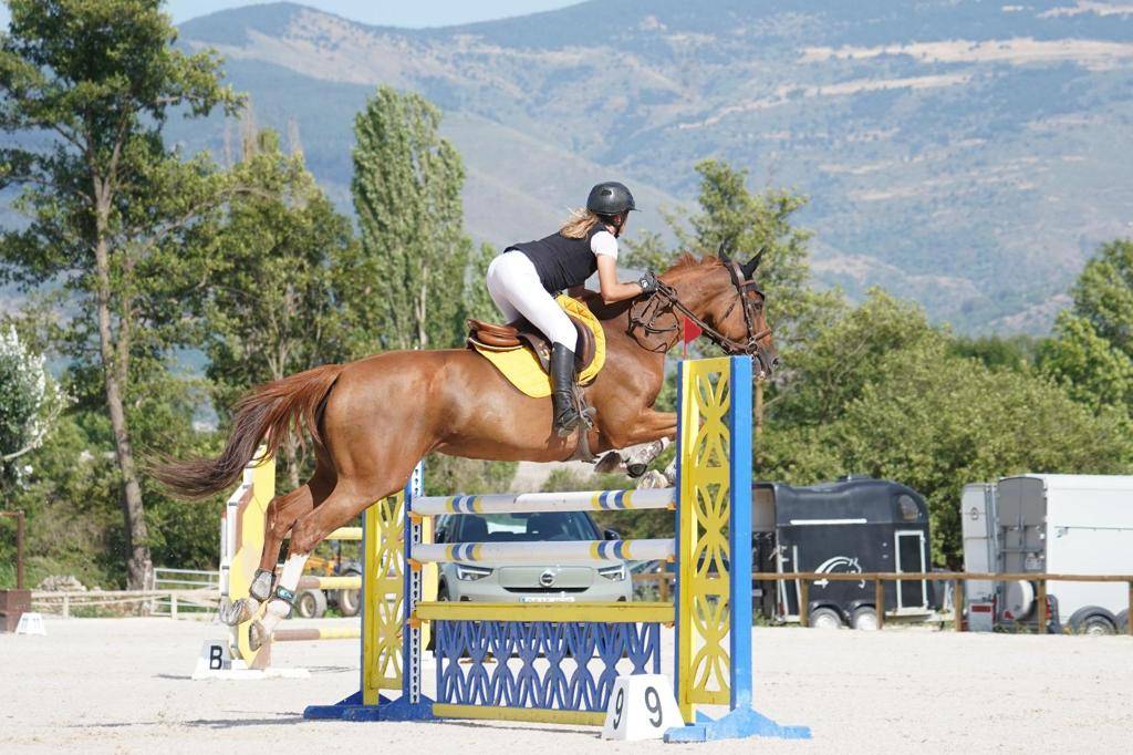 Yegua Silla Franc&eacute;s En venta 2012 Alaz&aacute;n por Vargas de Ste Hermelle