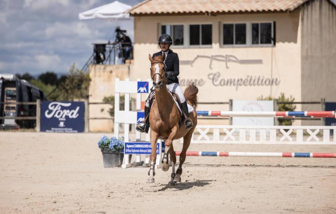 Yegua Silla Franc&eacute;s En venta 2012 Alaz&aacute;n por Vargas de Ste Hermelle
