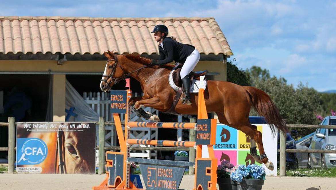 Yegua Silla Franc&eacute;s En venta 2012 Alaz&aacute;n por Vargas de Ste Hermelle